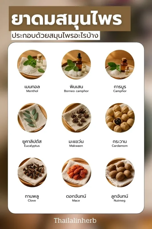 ส่วนประกอบยาดม ไทยลลิน เฮิร์บ